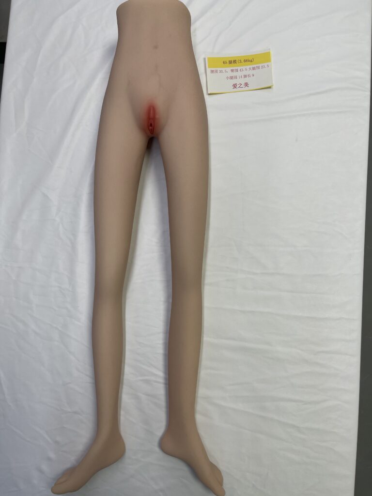 Alternative view of Torso-T31