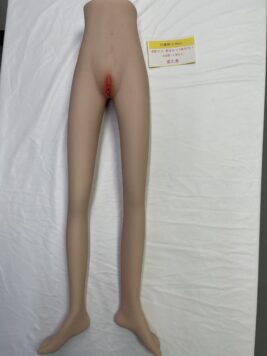 Torso-T31