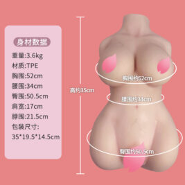Torso-T15