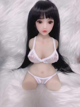 Torso-T8