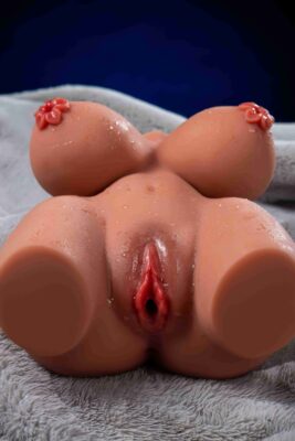 Torso-T36(3.92KG) Tan Color - Image 13